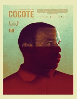 Cocote