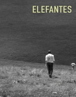 Elefantes