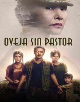 Oveja sin pastor