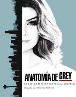 Anatomía de Grey