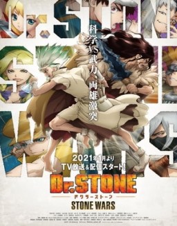 Dr. Stone